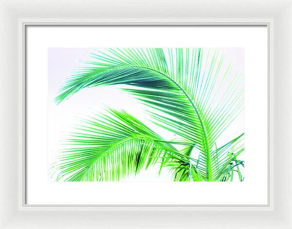 Palm and Ocean - Framed Print