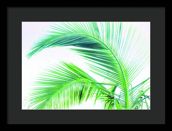 Palm and Ocean - Framed Print