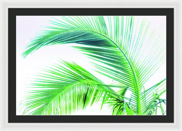 Palm and Ocean - Framed Print