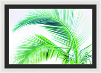 Palm and Ocean - Framed Print