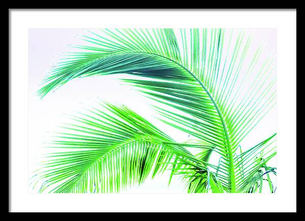 Palm and Ocean - Framed Print