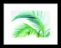 Palm and Ocean - Framed Print