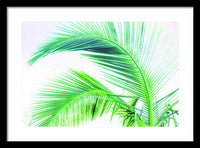 Palm and Ocean - Framed Print