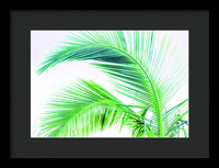 Palm and Ocean - Framed Print