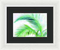 Palm and Ocean - Framed Print