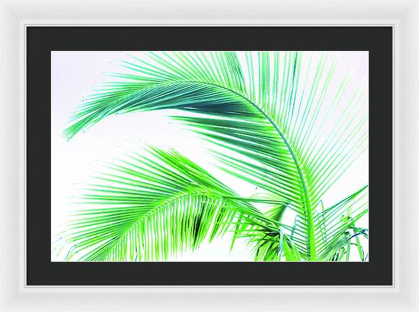 Palm and Ocean - Framed Print