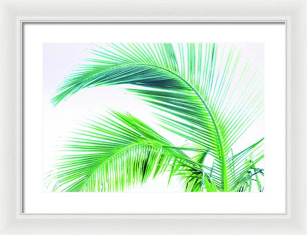 Palm and Ocean - Framed Print