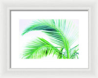 Palm and Ocean - Framed Print