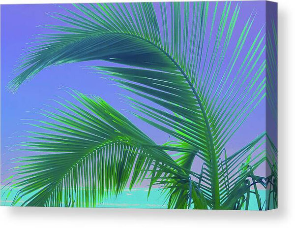 a palm tree with a blue sky in the background