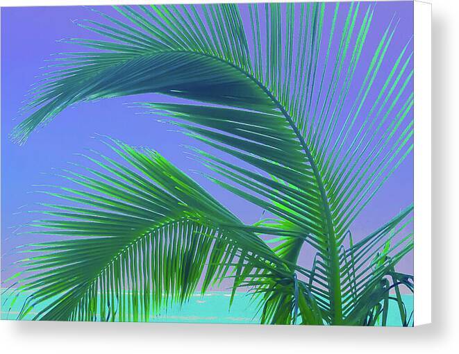 a palm tree with a blue sky in the background