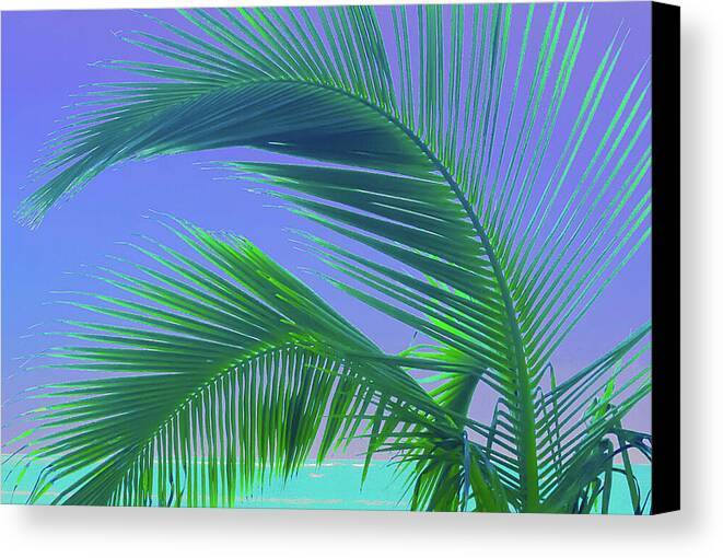 a palm tree with a blue sky in the background