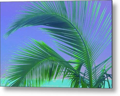 Palm Arch - Metal Print Metal Print 1ArtCollection