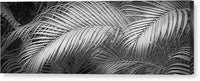 Palm Design Relief - Black and White - Canvas Print