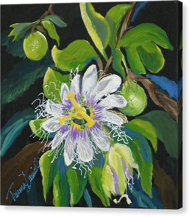 Passion Flower - Canvas Print Canvas Print 1ArtCollection