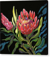 Pink Protea - Canvas Print Canvas Print 1ArtCollection