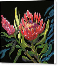 Pink Protea - Canvas Print Canvas Print 1ArtCollection