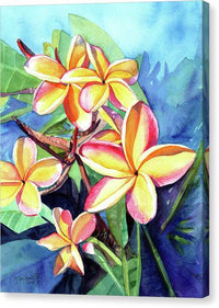 Plumeria Fever - Canvas Print Canvas Print 1ArtCollection