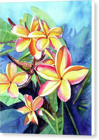 Plumeria Fever - Canvas Print Canvas Print 1ArtCollection