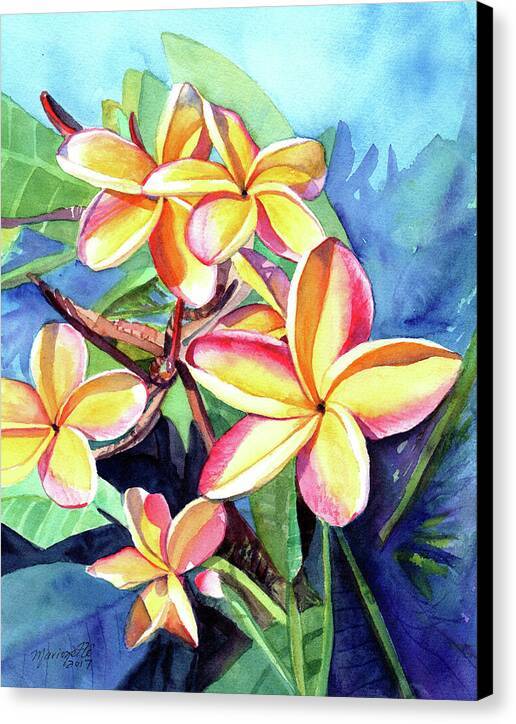 Plumeria Fever - Canvas Print Canvas Print 1ArtCollection