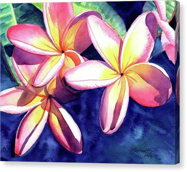 Plumeria Garden 3 - Canvas Print Canvas Print 1ArtCollection