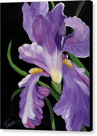 Purple Iris Glory - Canvas Print Canvas Print 1ArtCollection