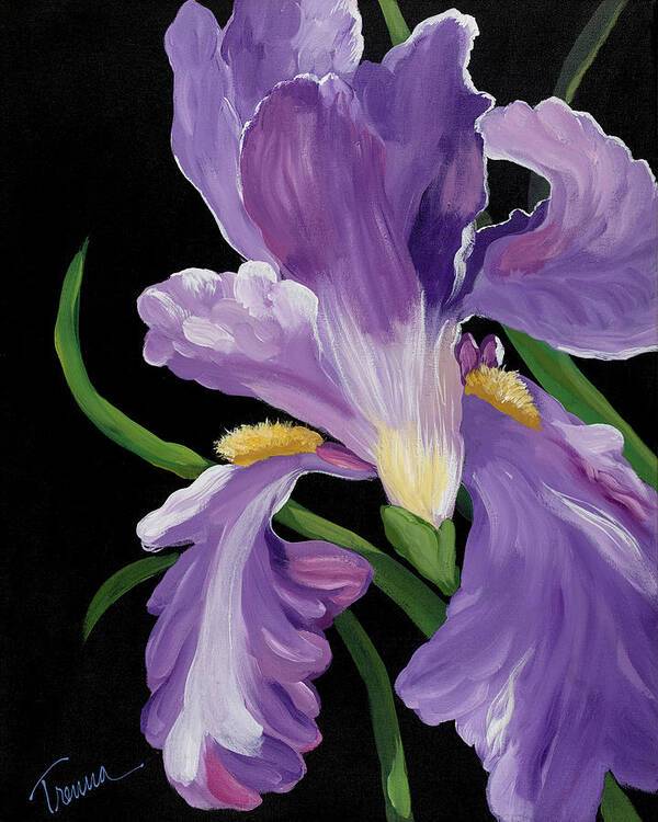 Purple Iris Glory - Art Print Art Print 1ArtCollection