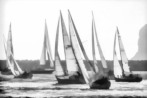 Regatta B-W - Art Print