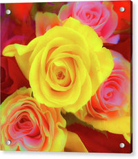 Rose Bouquet - Acrylic Print