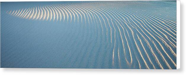 Sands of Time - Canvas Print