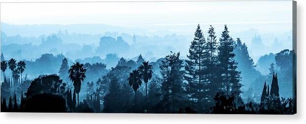 Sea of Trees Panorama - Acrylic Print