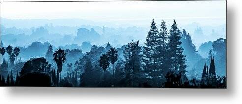 Sea of Trees Panorama - Metal Print