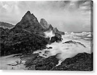 Seal Rocks and Surf - Canvas Print