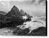 Seal Rocks and Surf - Canvas Print