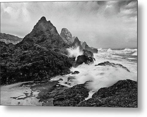 Seal Rocks and Surf - Metal Print