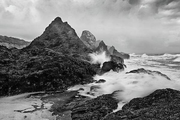 Seal Rocks and Surf - Art Print