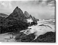 Seal Rocks and Surf - Acrylic Print