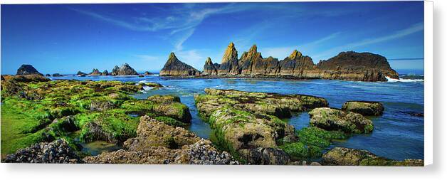 Seal Rocks Panorama - Canvas Print