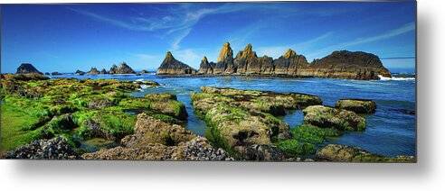 Seal Rocks Panorama - Metal Print