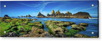 Seal Rocks Panorama - Acrylic Print