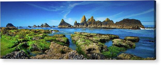 Seal Rocks Panorama - Acrylic Print