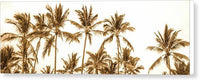 Sepia Palm Grove Panorama - Canvas Print