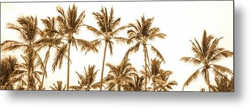 Sepia Palm Grove Panorama - Metal Print