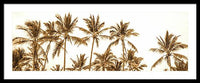 Sepia Palm Grove Panorama - Framed Print