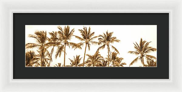 Sepia Palm Grove Panorama - Framed Print