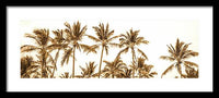 Sepia Palm Grove Panorama - Framed Print