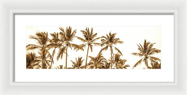 Sepia Palm Grove Panorama - Framed Print