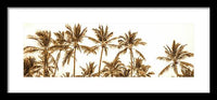 Sepia Palm Grove Panorama - Framed Print