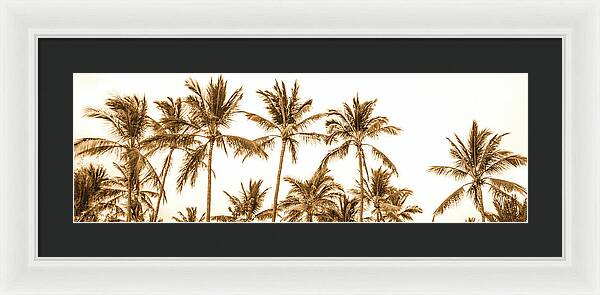 Sepia Palm Grove Panorama - Framed Print