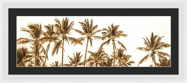 Sepia Palm Grove Panorama - Framed Print