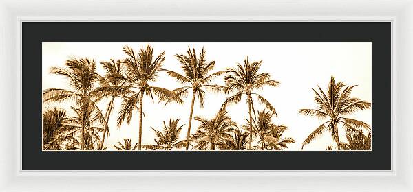 Sepia Palm Grove Panorama - Framed Print